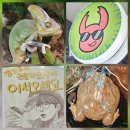 책 보고 생각하고 만들고 | 분당 야탑 아이와 가볼만한곳 | 정브르 엑스포 곤충하모니 책 파충류