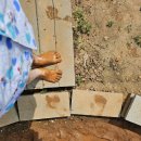 강화요양병원 이미지