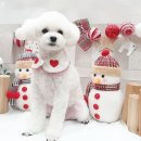 재영동물병원 이미지