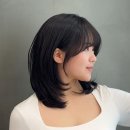 애채 합정