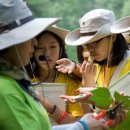 달그린캠프 이미지