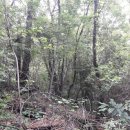 중문동-25 이미지