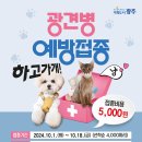 광주시 개‧고양이 광견병 예방접종 지원[e미래뉴스] 이미지