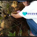 백산농장 이미지