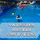 블루비치 관광농원 | 아이랑 물놀이 부여 홍산관광농원 수영장 정보 필수품 총정리