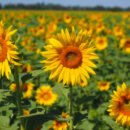 쿠킹카페 이미지