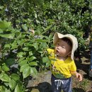 [6월행사] 블루베리 수확 체험 🫐🌱 이미지