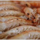 홍성LPG충전소 이미지