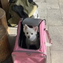 퀸즈카페