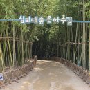 양산 통도사 &amp; 울산 태화강 국가정원 이미지