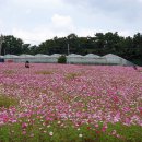 10월 제주도 가볼만한곳 10곳 나만 믿고 팔로팔로미 이미지