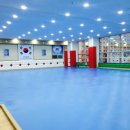 단국대 가온태권도 | 천안시 청당동 단국대 가온태권도장 소개/관원모집/차량운행/태권도장 이벤트