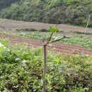 월곡농장 이미지