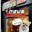 견생냥품 무인24시 용인흥덕점 이미지