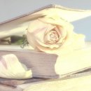 김플라워 - 군산시 의료원로 141 | 김플라워
