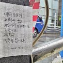 9명사망 시청역 사고에 국화 놓인 출근길... &#34;명복 빕니다&#34; 이미지