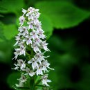 알봉 둘레길 이미지