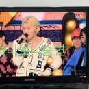 승연하다 Daum카페