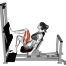 하이핏짐 이미지