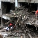 우면산3-27 이미지