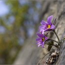 흐르는물 이미지