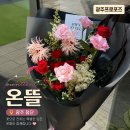 믿음꽃집 | 광주프로포즈 꽃다발 추천, 첨단 꽃집 온뜰 방문 후기