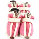 도그스쿨 이미지