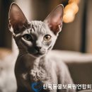 동물보육원 경기 수원 지부 이미지