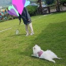 경주통나무 이미지