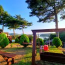 천수만회타운 이미지