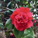 토끼와 거북이길 이미지