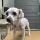 신일정비공업사 이미지