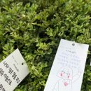 복자여자중학교 이미지