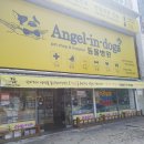 동물병원애견샵엔젤독스 네이버블로그