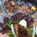 다경 티스토리