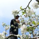 정우성농장 이미지