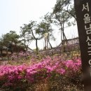 H8178 Daum카페