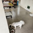 4269 | 보홀 커플여행 2일차 후기 | 알로나비치 로컬맛집 그리고 🍺맥주🍺