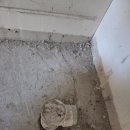 온수약국 이미지