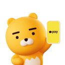 카카오페이(Kakaopay) 본사 기업강의 _일잘러class