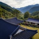 순천만쉼표 | 고즈넉한 쉼표 하나, 순천 ‘욜로한옥민박’에서 즐기는 촌캉스