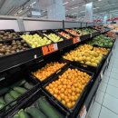 진수마트 이미지