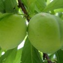 삼일가든 이미지