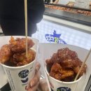 삼정온누리약국 | [대구여행] 친구따라 대구간다🚅 (2025.11.28.~2025.11.30.)