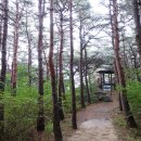 국립 칠보산자연휴양림 티스토리