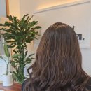 모던파마 이미지