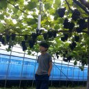 심원농장 이미지