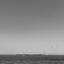 세븐일레븐부산기장연화리점 이미지