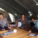 복지1리마을회관 이미지