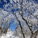 하늘별민박 이미지